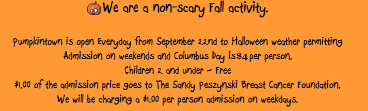 We are a non-scary Fall activity - Pumpkintown, USA.
