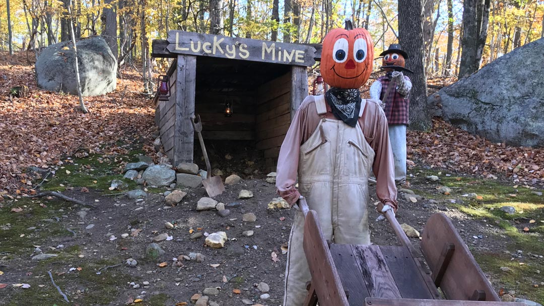 The Pumpkintown Forest The Pumpkintown Forest